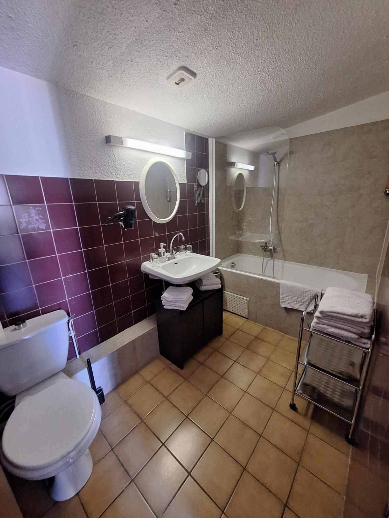 Hotel Le Connetable Saint-Bonnet-en-Champsaur Zewnętrze zdjęcie